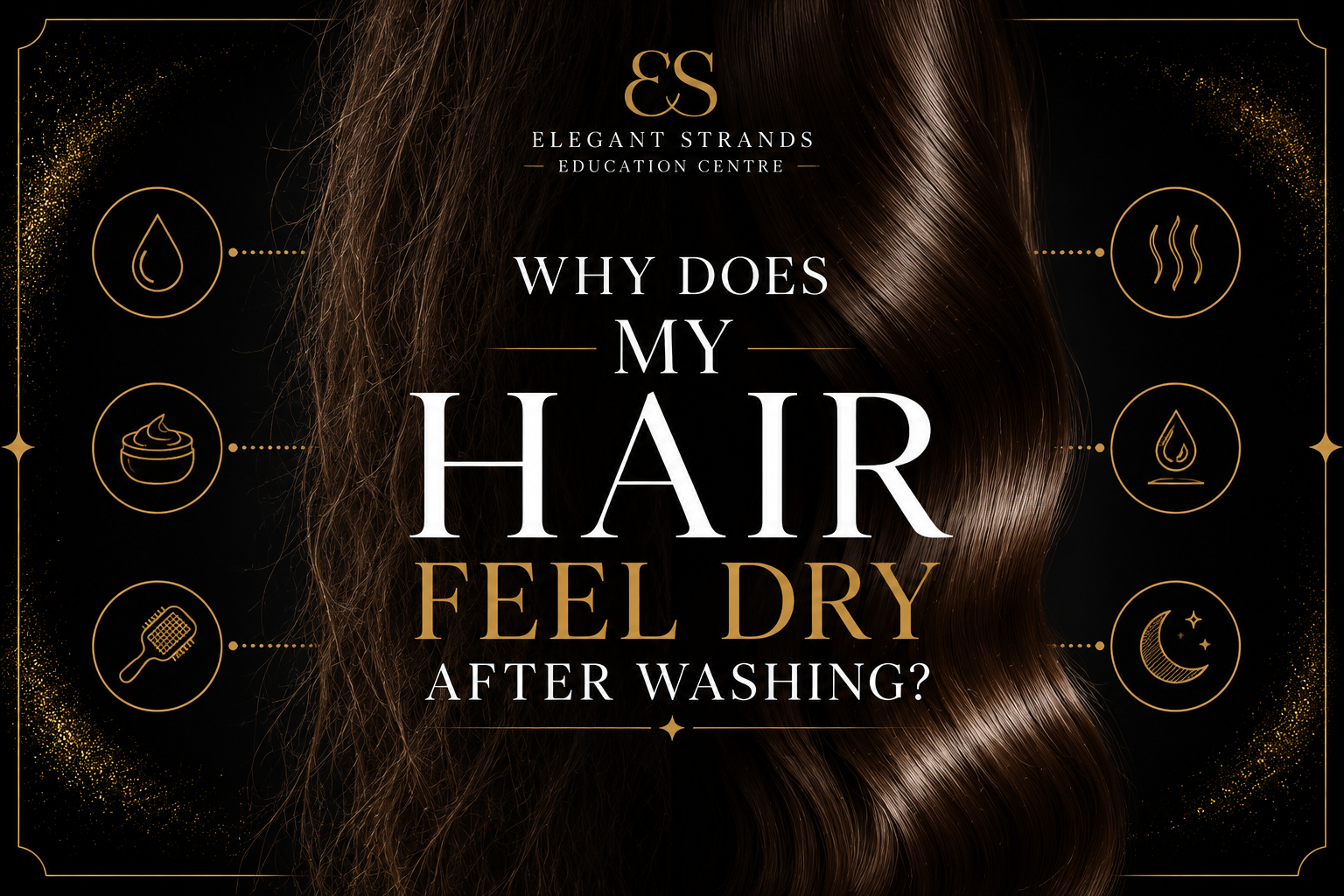 Luxury blog banner showing dry hair transforming into hydrated, shiny hair on a black and gold background.